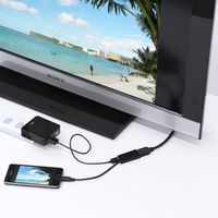 サンワダイレクト MHL HDMI変換ケーブル 500-HDMI006MH 1個（直送品）