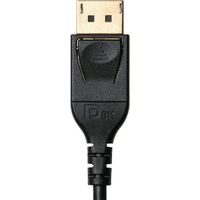 サンワダイレクト ディスプレイポートケーブル 500-KC025-10 1個（直送品）