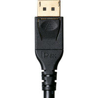 サンワダイレクト ディスプレイポートケーブル 500-KC025-40 1個（直送品）