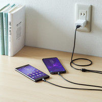 サンワダイレクト マグネット着脱式マイクロUSB/USB Type-C充電専用ケーブル 500-USB065 1個（直送品）