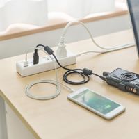 サンワダイレクト 電源タップ（USB充電ポート付・最大3.1Aまで・1500W・2m・2個口・個別スイッチ付） 700-TAP029 1個（直送品）