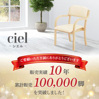ネットフォース ダイニングチェア 介護用椅子 シエル 完成品 ブラウンフレーム×アイボリー  福祉用 ETV-2-2-S4-AW 1セット（4脚入）（直送品）