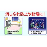 リーベックス 1回だけ「入・切」タイマー CT12（直送品）