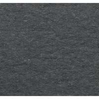 ササガワ 【OW】ピアス・イヤリング専用台紙 ブラック 名刺サイズ 19-2400 1セット(1セット(20枚入)×5)