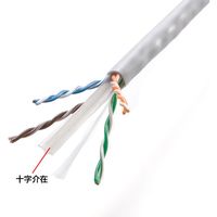 サンワサプライ カテゴリ6A LANケーブルのみ KB-T6A-CB100W 1個