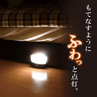 朝日電器 もてなしライト HLH-2201 1個