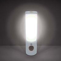 朝日電器 LEDセンサー付きライト PM-L256 1個