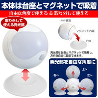 朝日電器 LEDセンサー付ライト PM-L750W 1個