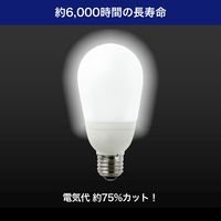朝日電器 電球形蛍光灯A形 100W形 EFA25ED/21-A101H