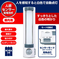 朝日電器 LEDセンサー付ライト PM-L255 1個