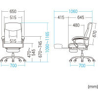 【アウトレット】サンワサプライ オットマン収納ファブリックチェア グレー SNC-T154GY 1個（直送品）