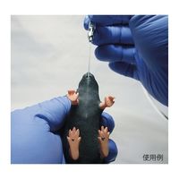三協ラボサービス マウス型実習用動物シミュレータ Mimicky(R) rrrmm01 1セット 3-8333-01（直送品）