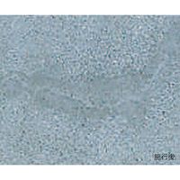 リックス コンクリート補修材 セメリッド(R) 500g 3-9808-01 1袋(500g)（直送品）