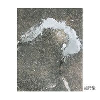リックス コンクリート補修材 セメリッド(R) 1kg 3-9808-02 1袋(1000g)（直送品）