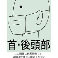 エスコ [DS1] マスク(防塵用/22枚) EA800NA-2 1箱(22枚)（直送品）