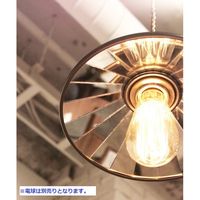 ジャーナルスタンダードファニチャー PANAMA PENDANT LAMP（パナマ ペンダントランプ） 幅220×奥行220×高さ170mm 1台（直送品）