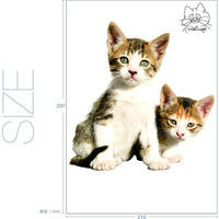東京ステッカー かわいい 猫 写真 岩合光昭「ねこウォールステッカー01」SS TSー0081ーASS （直送品）