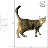 東京ステッカー かわいい 猫 写真 岩合光昭「ねこウォールステッカー02」SS TSー0082ーASS （直送品）