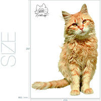 東京ステッカー かわいい 猫 写真 岩合光昭「ねこウォールステッカー04」SS TSー0084ーASS （直送品）