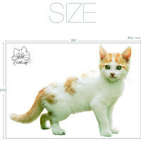 東京ステッカー かわいい 猫 写真 岩合光昭「ねこウォールステッカー07」SS TSー0087ーASS （直送品）