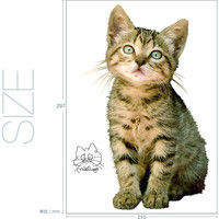 東京ステッカー かわいい 猫 写真 岩合光昭「ねこウォールステッカー10」SS TSー0090ーASS （直送品）