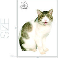 東京ステッカー かわいい 猫 写真 岩合光昭「ねこウォールステッカー11」SS TSー0091ーASS （直送品）