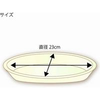 【ケース販売】HEIKO 紙皿 徳用バガスプレート GPF-23 004466090 1セット(50枚入×16袋 合計800枚)（直送品）