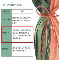 特光水引 オレンジ 004870513 1セット（10束）（直送品）