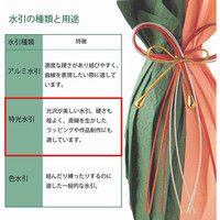 特光水引 銀 004870528 1セット（10束）（直送品）