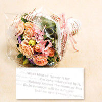 シモジマ OPPロール グレース 65cm×20m PK 006776072 1セット（20本）（直送品）