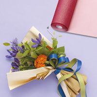 Fクレープ NO.8 006777547 1セット（10本）（直送品）