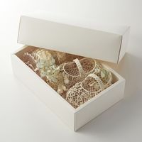 シモジマ ソフィアBOX SO-3 006857030 1セット（10枚入×10）（直送品）