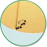 友屋 30556*** リングスタンド 007306744 1セット(20個)（直送品）