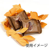 佐野デザイン事務所 クッションサン・リーヴス LJ-KK/かき 007321514 1セット（100袋）（直送品）