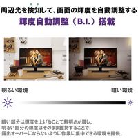 BenQ 23.8インチワイド液晶モニター GW2480 フルHD（1920×1080）/D-Sub/HDMI 1台