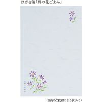 あかしや はがき箋「野の花ごよみ」 AO-04L 1セット(5セット)（直送品）