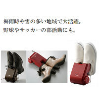 ツインバード（TWINBIRD） くつ乾燥機 SD-4546R 1台