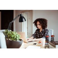 山田照明 Z-00NB 1台