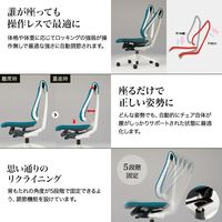 【設置込】イトーキ セレーオ チェア ハイバック メッシュ 固定肘付 アルミ脚 ブラック×オフブラック KF-575JB-ZTW2 1台（直送品）