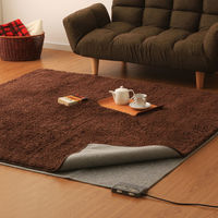 アイリスオーヤマ ホットカーペット 2畳 電気カーペット 176×176cm 室温センサー付 HCM-T1818-H グレー