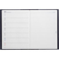 高橋書店 デスクダイアリーカジュアル1 961（直送品）