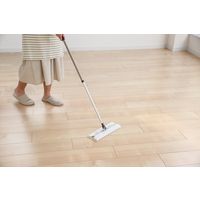 山崎産業 フロアラボ フローリングワイパー 本体 伸縮タイプ 4903180182213 1セット(1本×3)
