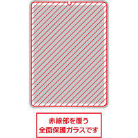 ナカバヤシ iPadPro11ガラスフィルム/ブルーライトカット TBF-IP182GFLKBC 1個（直送品）
