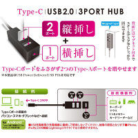 ナカバヤシ Type-C/USB2.0/3ポートハブ/30cm/レッド UH-C2453R 1個（直送品）