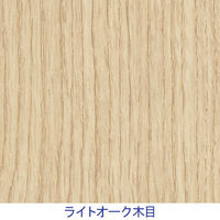 ARAN WORLD EIDOS エイドス フリーアドレスデスク 天板2連 幅2000×奥行1400×高さ700mm ライトオーク 1台（8梱包）（取寄品）