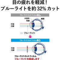 エレコム 電子辞書フィルム/ブルーライトカット/Lサイズ/CASIO DJP-TP032BL 1個