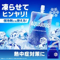 【スポーツドリンク】アクエリアス パウチ ハンディパック 300g 1セット（60個）（冷凍可能）（熱中症対策）