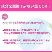 ライオン ソフターEX 本体2L 1個