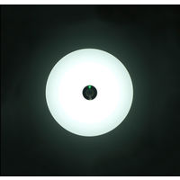 アイリスオーヤマ 小型シーリングライト 薄形 600lm 人感センサー付 昼光色 SCL6DMS-UU 1台