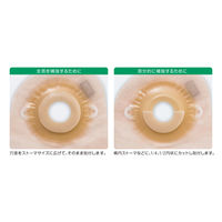 アルケア セルケア・ソフトウエハー(リング30) 20352 1箱(10枚入)